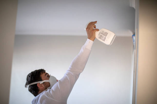Best Toxic Mold Removal  in Junction City, KS