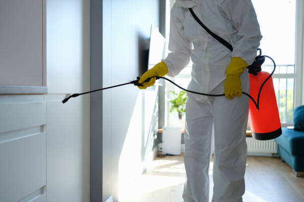 Best Mold Testing  in Junction City, KS