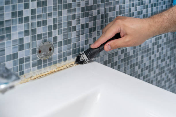 Best Best Mold Removal Companies  in Junction City, KS