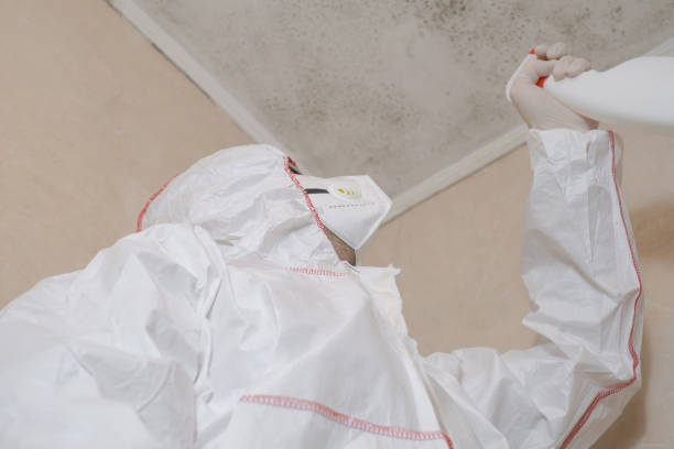 Best Mold Removal Company Near Me  in Junction City, KS
