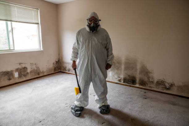 Best Mold Cleaning Services  in Junction City, KS